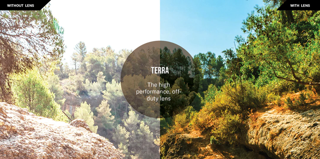 View of trees, rocks and sky - split to show on Left, View without Lenses and on Right, View with Terra polarized lenses